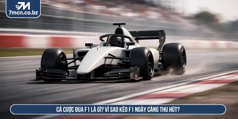 Cá cược đua F1 là gì? Vì sao kèo F1 ngày càng thu hút?