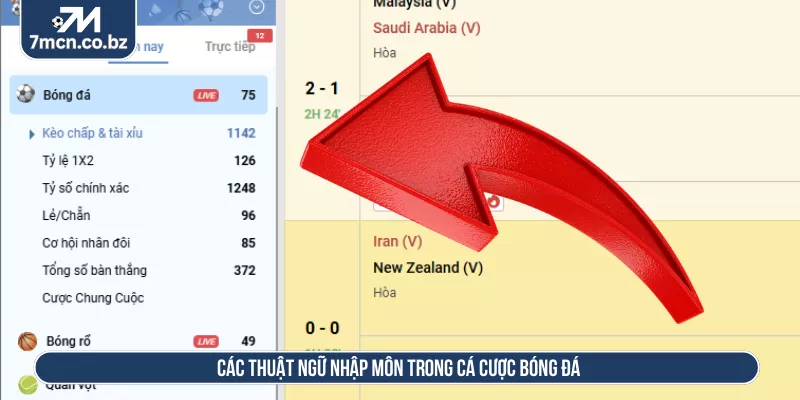 Các thuật ngữ nhập môn trong cá cược bóng đá